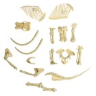 Набор для опытов «Ледниковая эпоха», мамонт - фото 119046577 Набор для опытов «Ледниковая эпоха», мамонт - фото 119046577