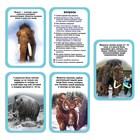 Набор для опытов «Ледниковая эпоха», мамонт - фото 119046579 Набор для опытов «Ледниковая эпоха», мамонт - фото 119046579