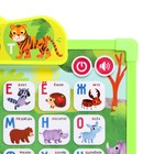 Доска музыкальная «Первые знания», звук - Фото 3