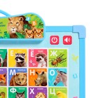 Доска музыкальная «Учимся вместе», звук - Фото 3