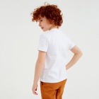 Футболка детская Basic line цвет белый, рост 140 - Фото 8