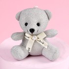 Мягкая игрушка «Самой сладкой», медведь, цвета МИКС - Фото 5