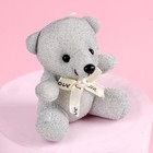 Мягкая игрушка «Самой сладкой», медведь, цвета МИКС - Фото 6