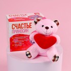 Мягкая игрушка «Счастье приносин», медведь, цвета МИКС - Фото 3