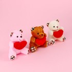 Мягкая игрушка «Счастье приносин», медведь, цвета МИКС - Фото 9