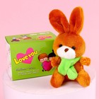 Мягкая игрушка Milo toys «Моей половинке», зайчик, МИКС, в шоубоксе - Фото 3