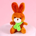 Мягкая игрушка Milo toys «Моей половинке», зайчик, МИКС, в шоубоксе - Фото 4