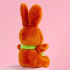 Мягкая игрушка Milo toys «Моей половинке», зайчик, МИКС, в шоубоксе - Фото 5