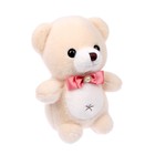 Мягкая игрушка «Мишка», 23 см, цвет МИКС - фото 24314122