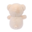 Мягкая игрушка «Мишка», 23 см, цвет МИКС - фото 24314123