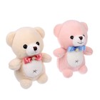 Мягкая игрушка «Мишка», 23 см, цвет МИКС - фото 24314124