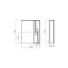 Зеркало шкаф для ванной комнаты «Айсберг. Лилия 55», правый, 556×151×701 мм, цвет белый - Фото 2