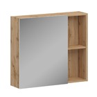 Зеркало шкаф для ванной комнаты Домино Craft 80, левый/правый - фото 300859117
