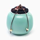 Набор для чайной церемонии ДЖЕКИЧАЙ «Для самой», 10 предметов, на 4 персоны, чашка 40 мл, чайник 200 мл, керамика, бирюзовый - Фото 5