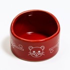Миска керамическая "Хомячок", 6,3 х 4,5 см, красная - Фото 3