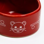 Миска керамическая "Хомячок", 6,3 х 4,5 см, красная - Фото 5