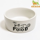 Миска керамическая "Food" 200 мл - 10 х 10 х 4,5 см, белая 6256954 - фото 16501662