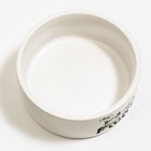 Миска керамическая "Food" 200 мл - 10 х 10 х 4,5 см, белая 6256954 - фото 16501664