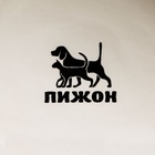 Миска керамическая "Food" 200 мл - 10 х 10 х 4,5 см, белая 6256954 - фото 16507509