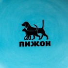 Миска керамическая "Food" 200 мл - 10 х 10 х 4,5 см, голубая 6256955 - фото 16507511