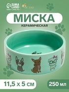 Миска «Важный пес», 250 мл, 11.5×11.5×5 см, керамика, зелёная - Фото 1