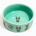 Миска «Важный пес», 250 мл, 11.5×11.5×5 см, керамика, зелёная - Фото 3