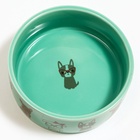 Миска «Важный пес», 250 мл, 11.5×11.5×5 см, керамика, зелёная - Фото 4