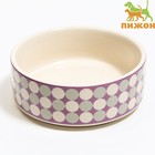 Миска керамическая "Горошек" 200мл, 10,5 х 4 см, сиреневая - Фото 1