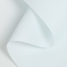 Пленка матовая для цветов и букетов, голубая, 0.58×10 м - Фото 1