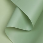 Пленка для цветов и букетов, матовая, хаки, 0.58×10 м - Фото 1