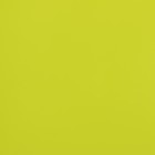 Пленка для цветов, матовая, светло-салатовый, 0.57×10 м - Фото 2