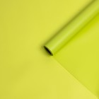 Пленка для цветов, матовая, светло-салатовый, 0.57×10 м - Фото 3