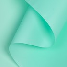 Пленка для цветов, матовая, аквамариновый, 58 см × 10 м - Фото 1