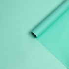 Пленка для цветов, матовая, аквамариновый, 58 см × 10 м - Фото 3