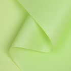 Пленка матовая, зеленая мята, 0,58 х 10 м - фото 7779776