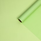 Пленка матовая, зеленая мята, 0,58 х 10 м - фото 7779778