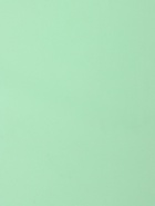 Пленка матовая для цветов и букетов, зеленая мята, 0.58×10 м - Фото 7