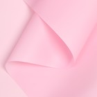 Пленка для цветов и букетов, матовая, пудра светлая, 0.57×10 м ±1 см - Фото 5