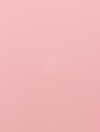 Пленка матовая для цветов, бледно - каштановый, 0.58×10 м - Фото 8