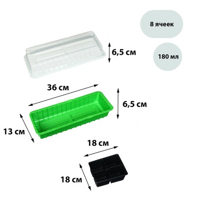 Мини-парник для рассады, 40×16×13 см, 2 вставки, 8 ячеек, зелёный, Greengo