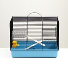 Клетка для грызунов "Сеня 2-1", 50 x 37 x 37 см, микс цветов 7701971