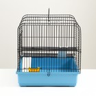 Клетка для грызунов "Сеня 2-1", 50 x 37 x 37 см, микс цветов 7701971