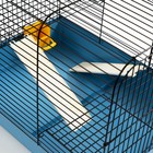 Клетка для грызунов "Сеня 2-1", 50 x 37 x 37 см, микс цветов 7701971