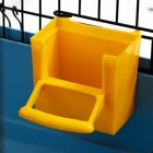 Клетка для грызунов "Сеня 2-1", 50 x 37 x 37 см, микс цветов 7701971