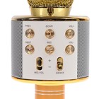 УЦЕНКА Микрофон для караоке LuazON LZZ-56, WS-858, 1800 мАч, жёлтый - Фото 2