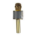 УЦЕНКА Микрофон для караоке LuazON LZZ-56, WS-858, 1800 мАч, жёлтый - Фото 6
