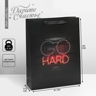 Пакет подарочный ламинированный вертикальный, упаковка, «Go hard», L 31 х 40 х 11,5 см - фото 318775695