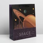 Пакет подарочный ламинированный вертикальный, упаковка, «Pluto», L 31 х 40 х 11,5 см - Фото 2