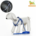 Комплект "Спорт" светоотражающий, поводок 120 х 1 см, ОГ 23-35 см, синий - Фото 1