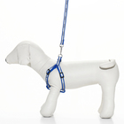 Комплект "Спорт" светоотражающий, поводок 120 х 1 см, ОГ 23-35 см, синий - Фото 2